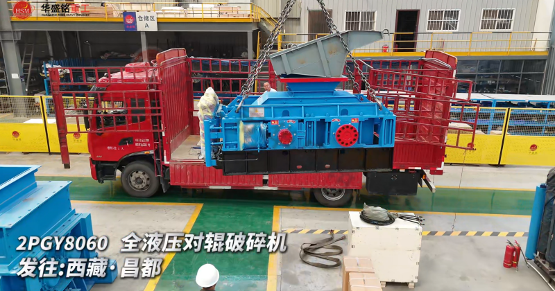 ѡ���������